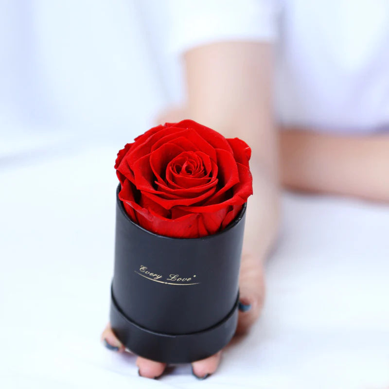 Eternally Preserved Rose Bouquet - MINI