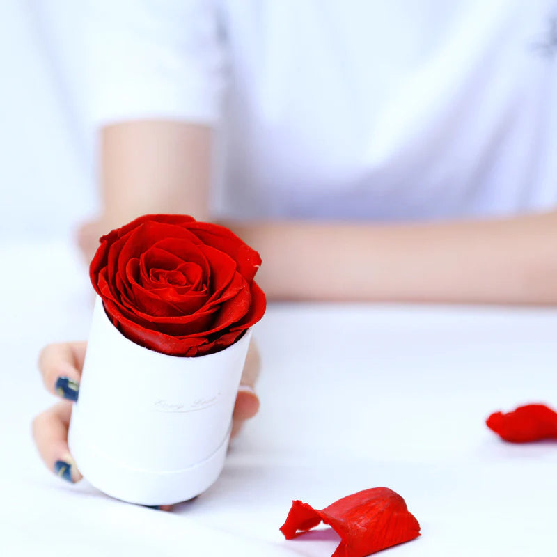 Eternally Preserved Rose Bouquet - MINI